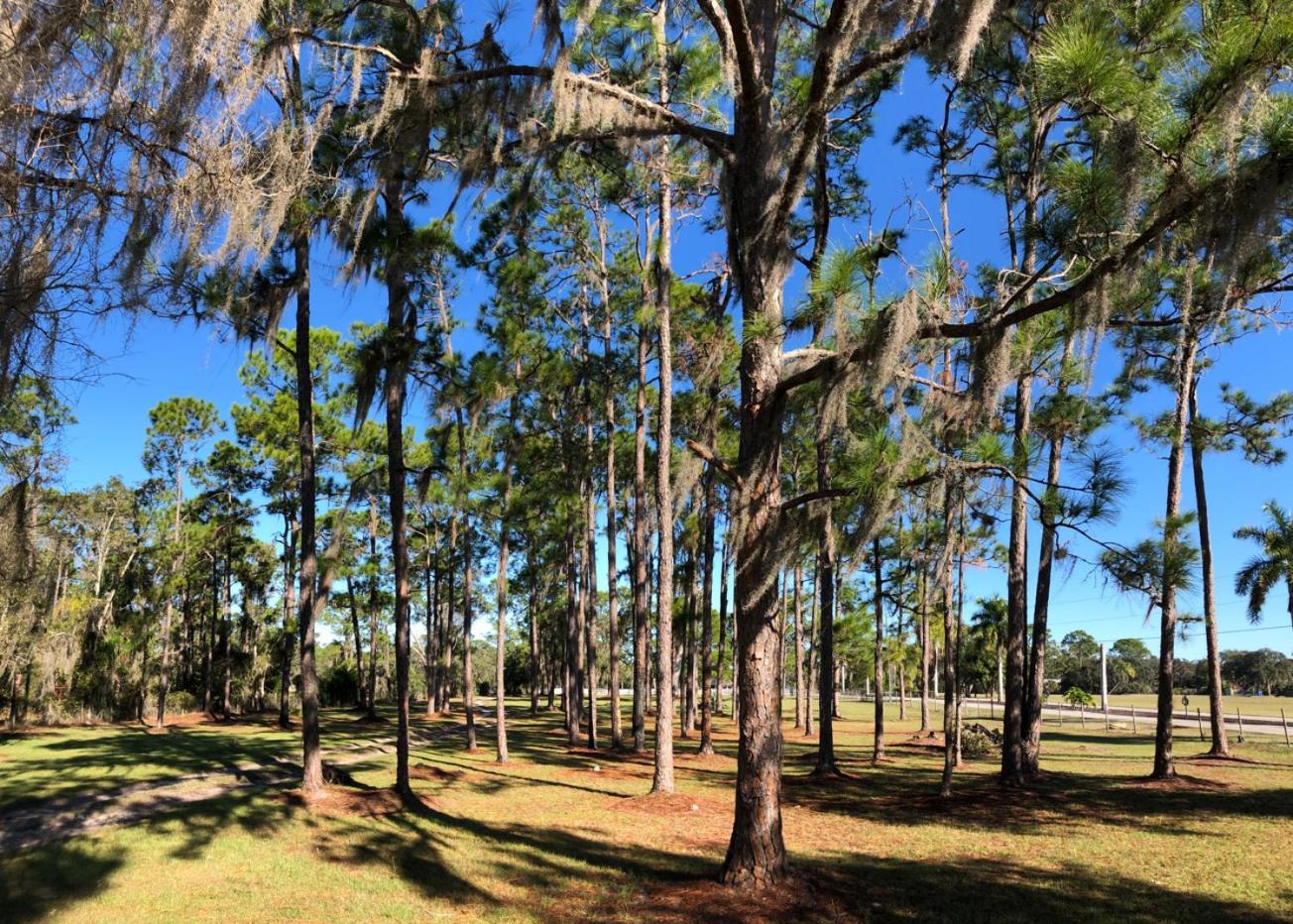The Little Retreat Sebring Exterior foto